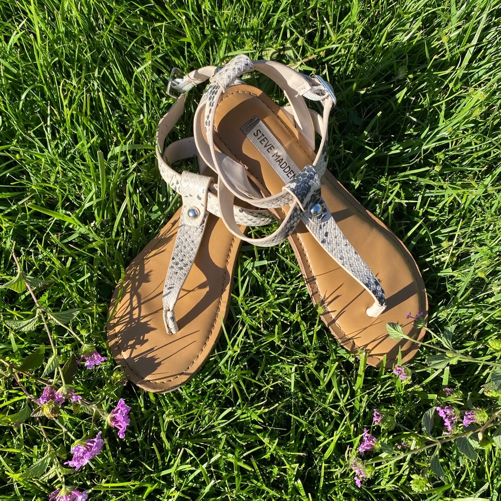 Steve Madden Snakeskin Sandals